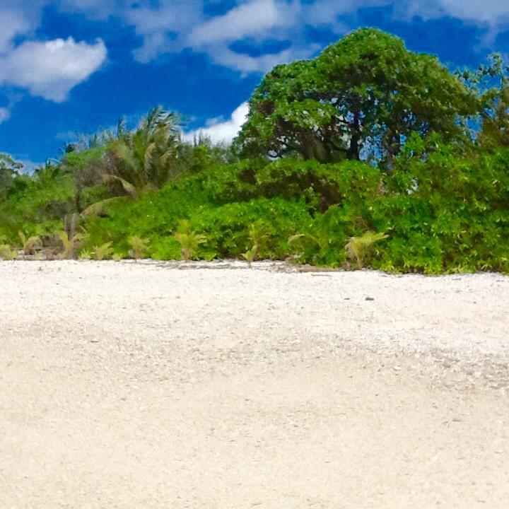 Fare Maeva Moorea Teavaro Phòng bức ảnh